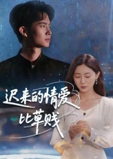 迟来的情爱比草贱
