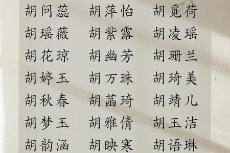 胡姓2025年05月28日出生女孩取名哪个字最好
