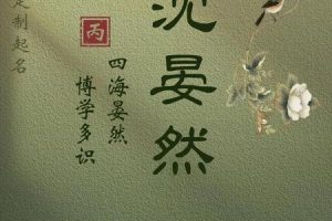 沈姓2025年05月29日男孩最旺的名字