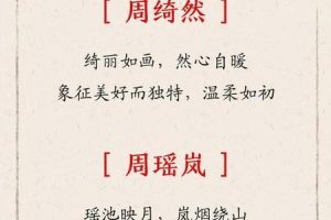 周姓2025年05月29日出生男孩最佳取名