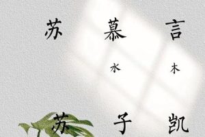 苏姓2025年05月27日出生男孩大气的名字