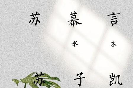 苏姓2025年05月27日出生男孩大气的名字