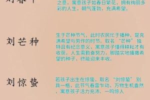 刘姓2025年06月03日公司起名方法