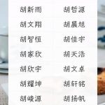 胡姓2025年06月05日按照五行应该怎么取名